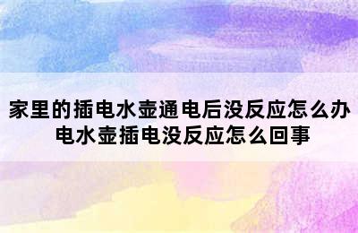 家里的插电水壶通电后没反应怎么办 电水壶插电没反应怎么回事